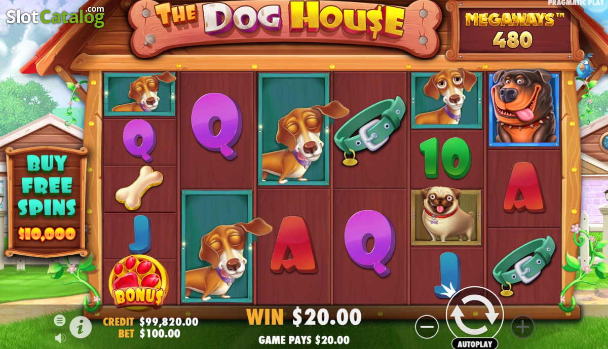 The Dog House Megaways — Bônus / Feature