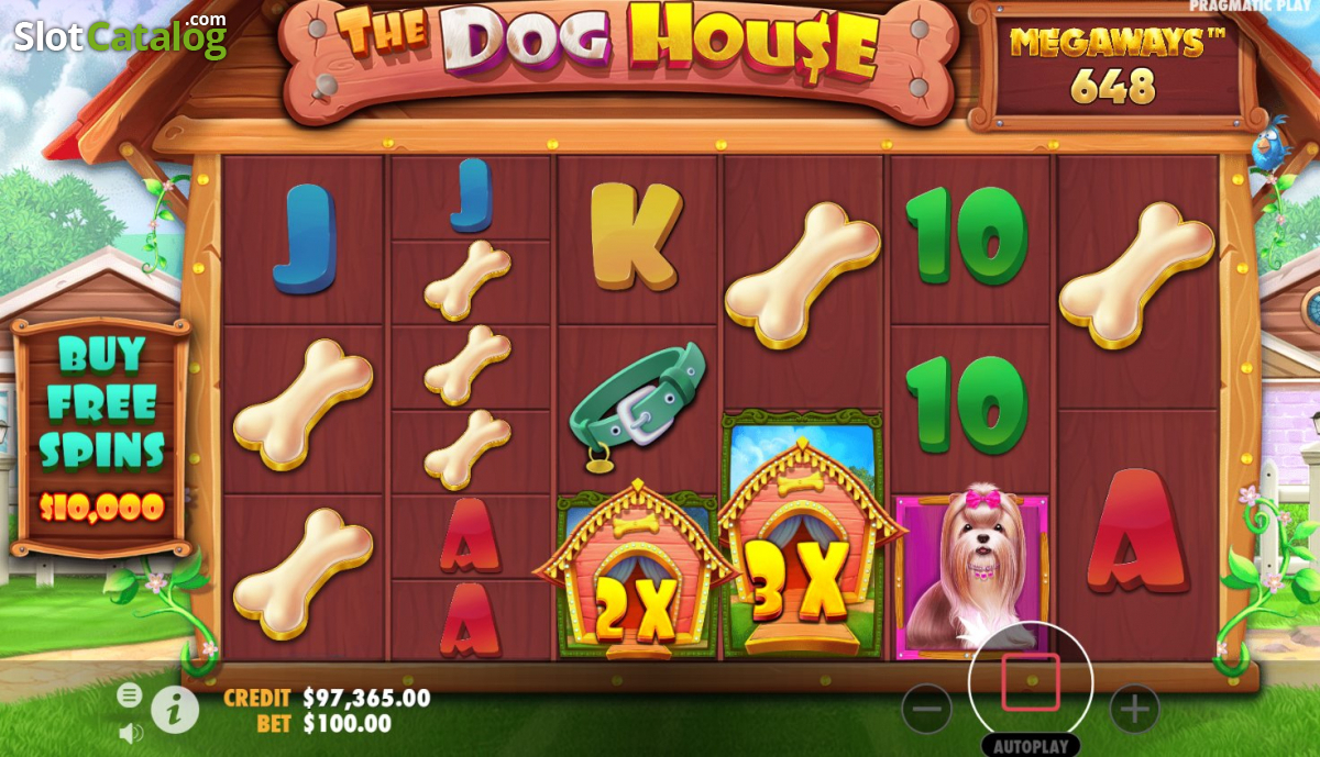 The Dog House Megaways — Big Win