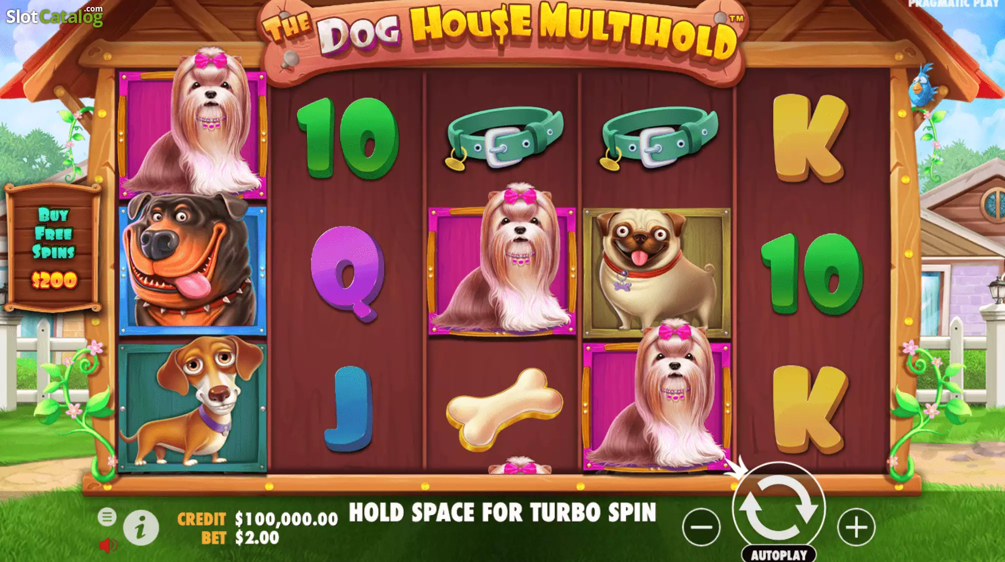 The Dog House Multihold — Bônus / Feature